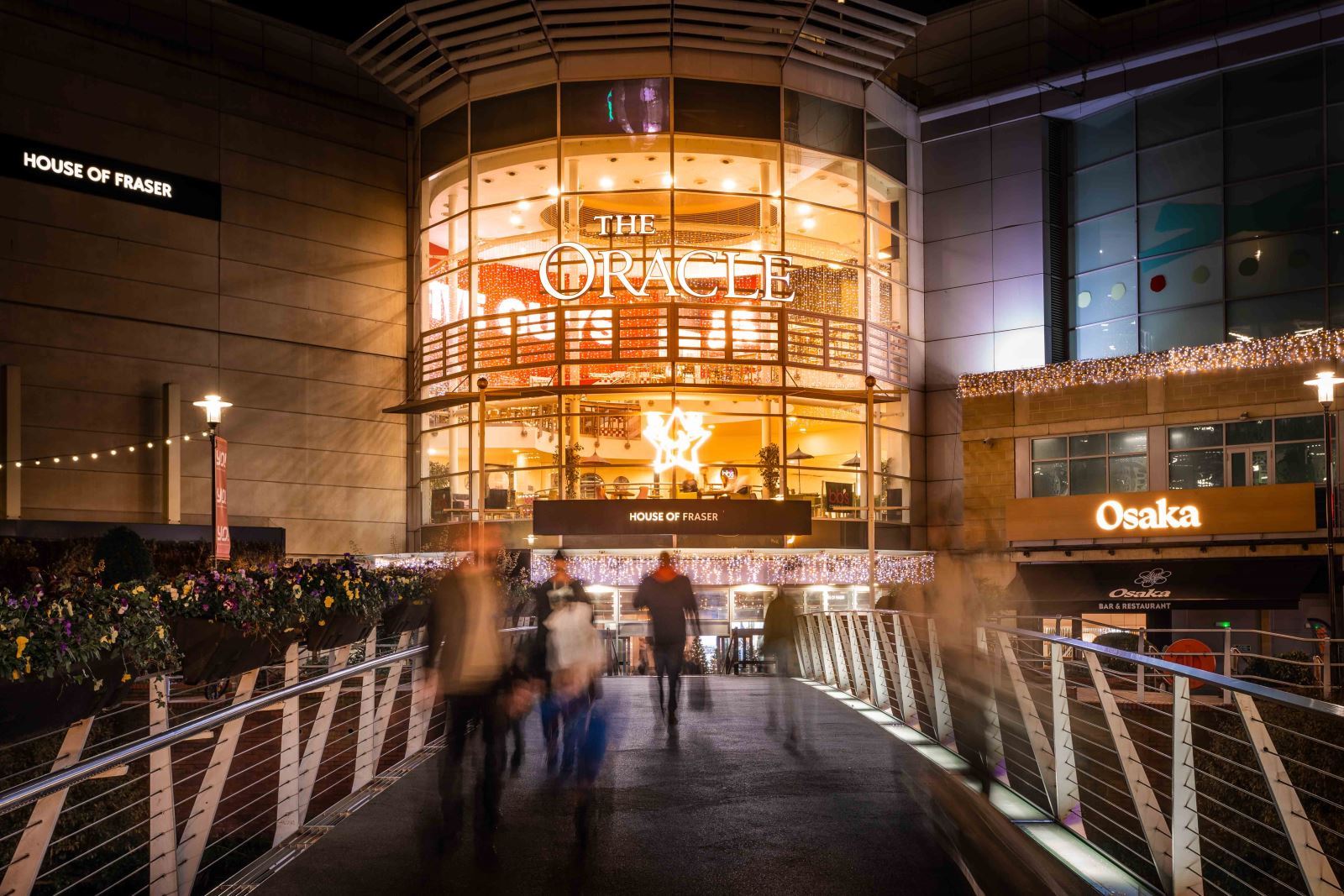 The Oracle lit up with Christmas lights
